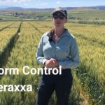 Reddy Anna ID: Unlocking Community Identity and the Power of the Reddy Book Club