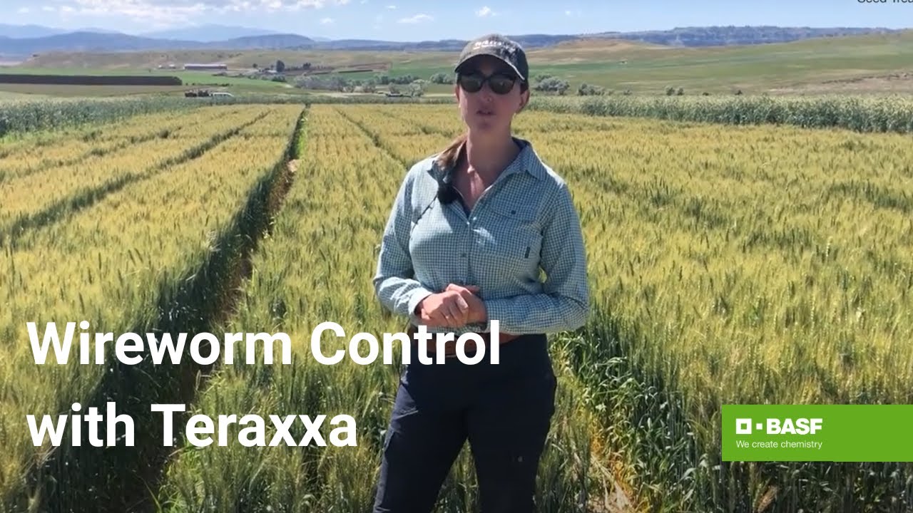 Reddy Anna ID: Unlocking Community Identity and the Power of the Reddy Book Club